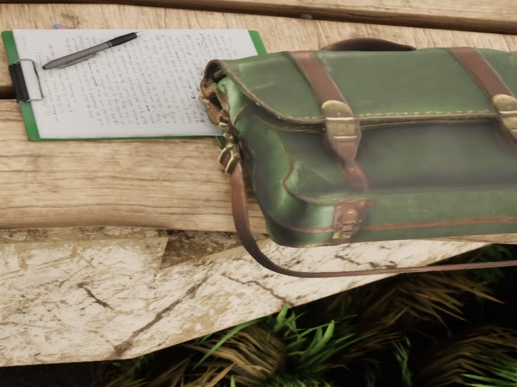 College Application Essay